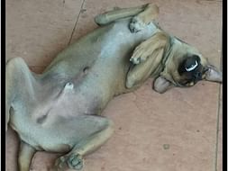 Help Karma Get An Anesthesia Machine
