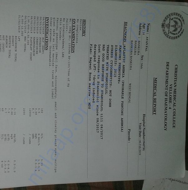 Medical Report