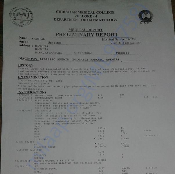 Medical Report