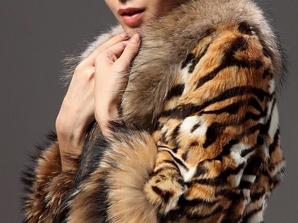 Support Us to Combat Wildlife Crime
