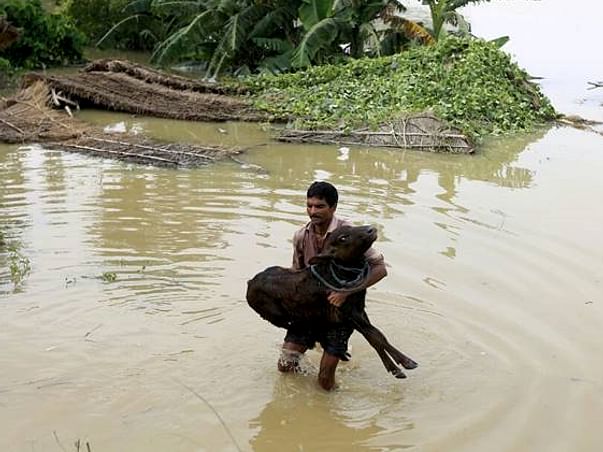 Stand With The Flood Affected Areas!