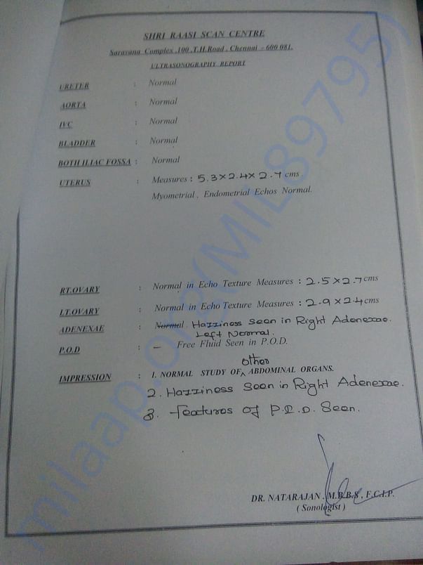 Scan report