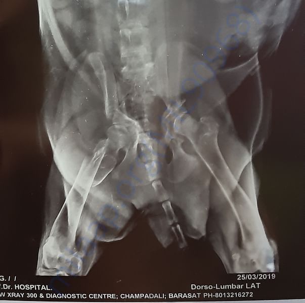 Medical Report