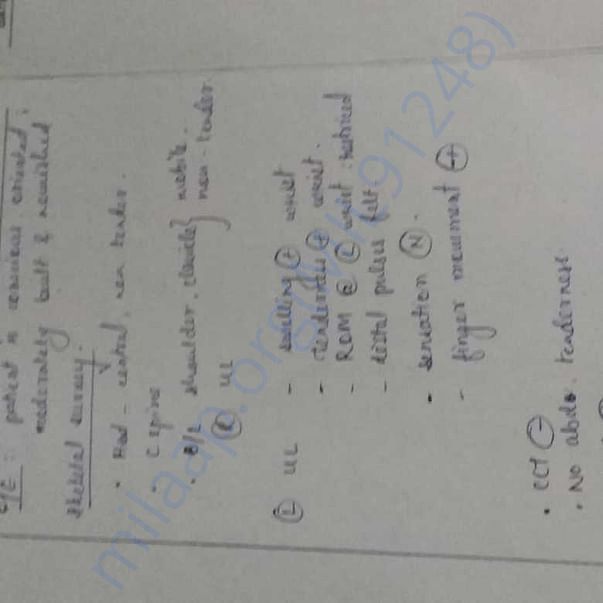 Medical Report