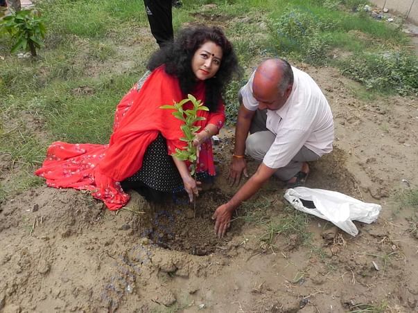Tree Plantation