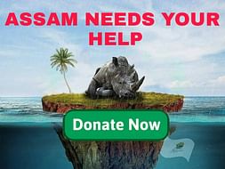 Help Us Provide Relief in Assam