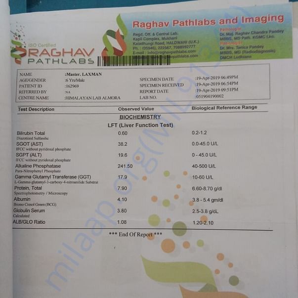 Medical Report