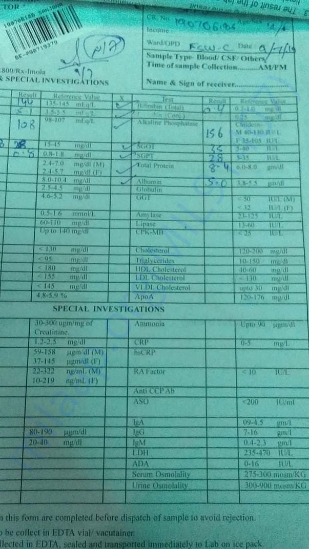Test report