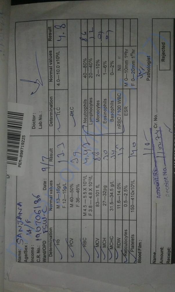 Test report