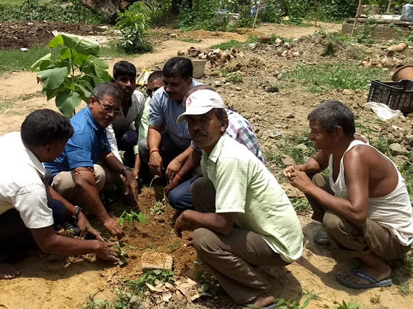 Plant Tree with Project Green Hand