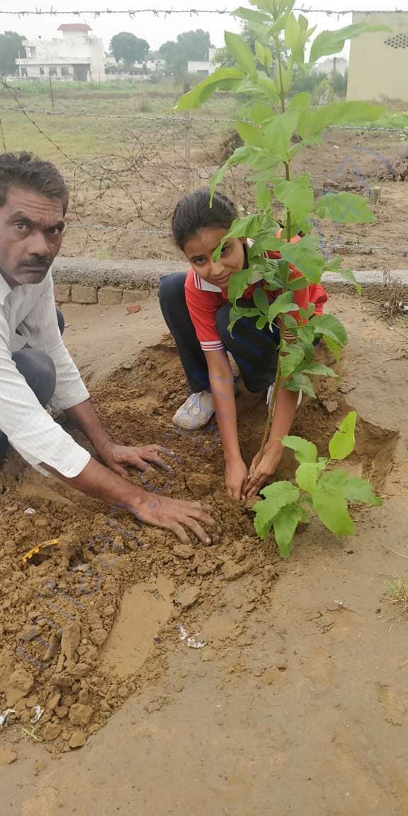 Tree Plantation at Ballabhagarh Sun Rise Public School
