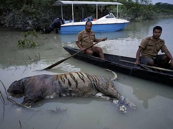 SAVE ASSAM SAVE WILD