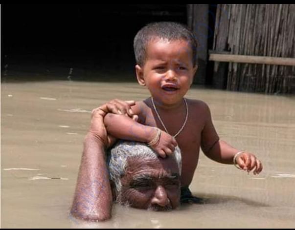 SAVE ASSAM SAVE WILD