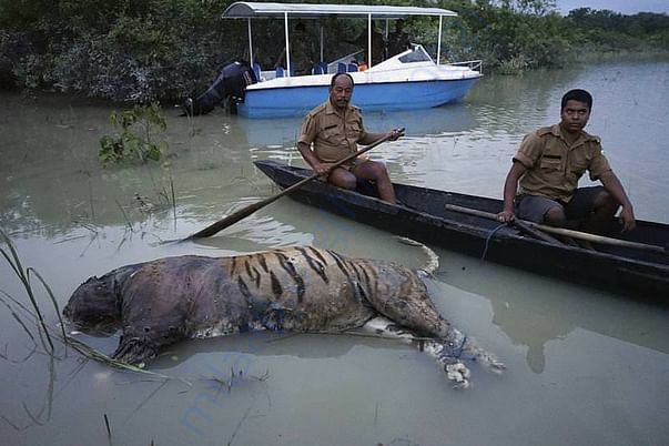 SAVE ASSAM SAVE WILD