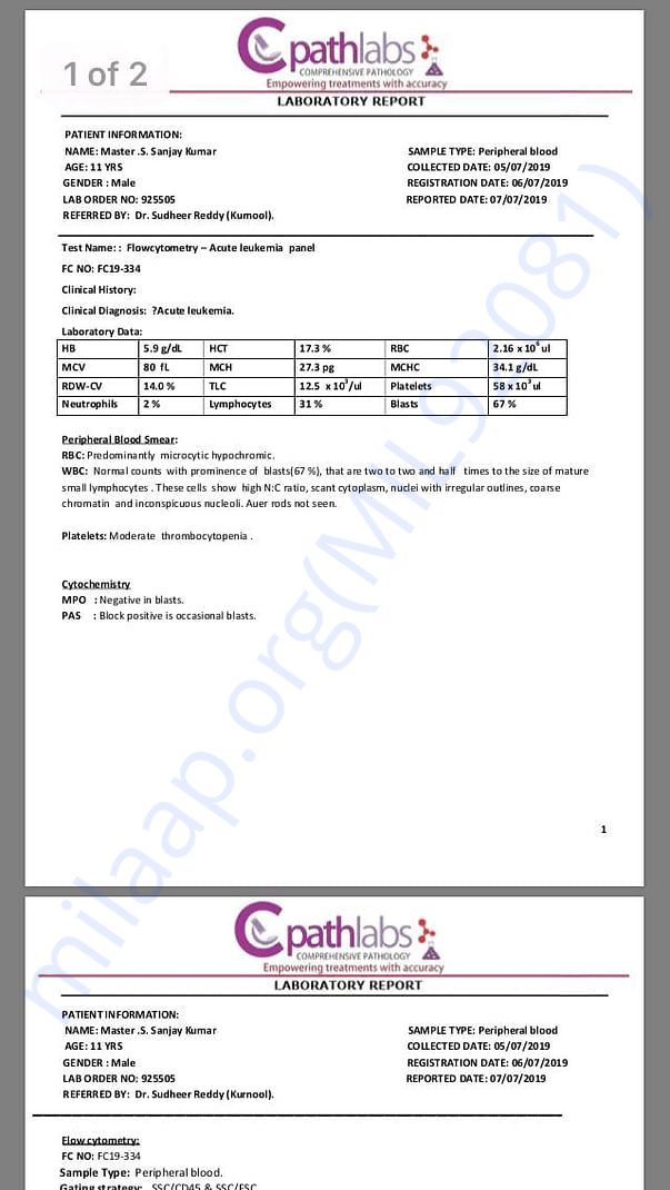 Lab Report.