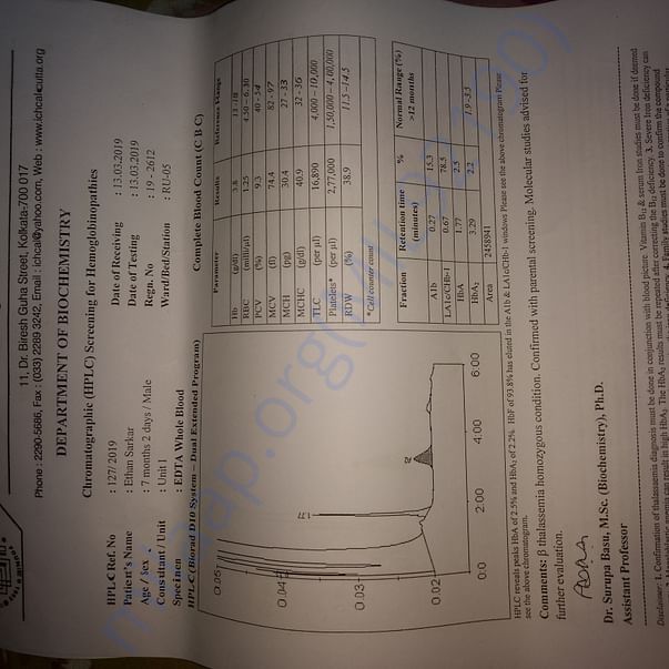 Medical Report