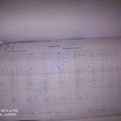 Medical Report