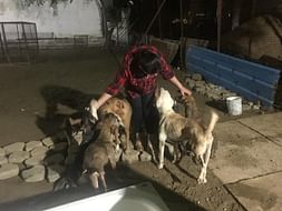 Help us BUILD our sanctuary !!!