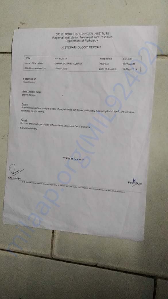 Histopathology Report