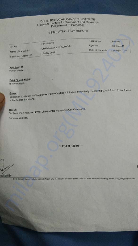 Histopathology Report