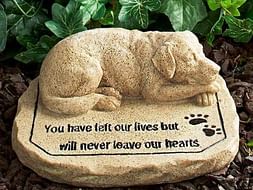 Help us bid farewell to our beloved pets in a dignified way!