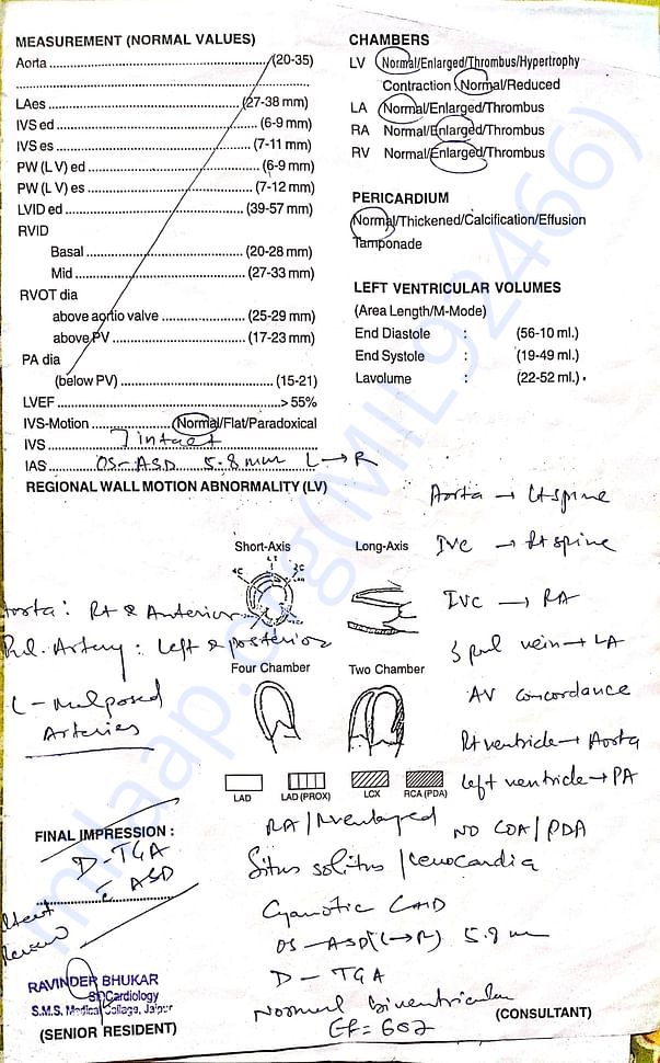 Echocardiography and Colour Doppler Report pg3