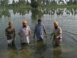 HELP THE POOR FARMERS SUFFERING FROM FLOODS
