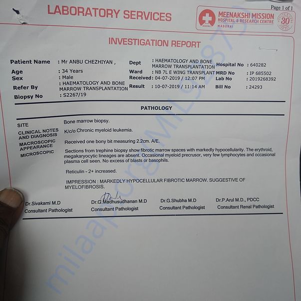 Medical Report