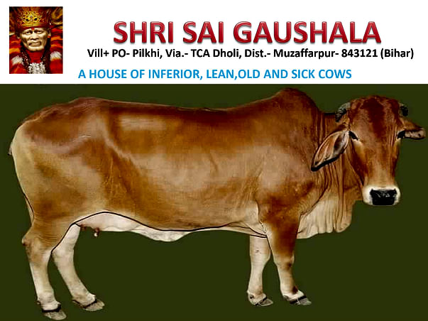 Help Us Build a Goushala