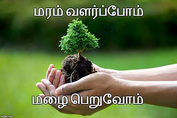 Neer Paravaigal Proposal