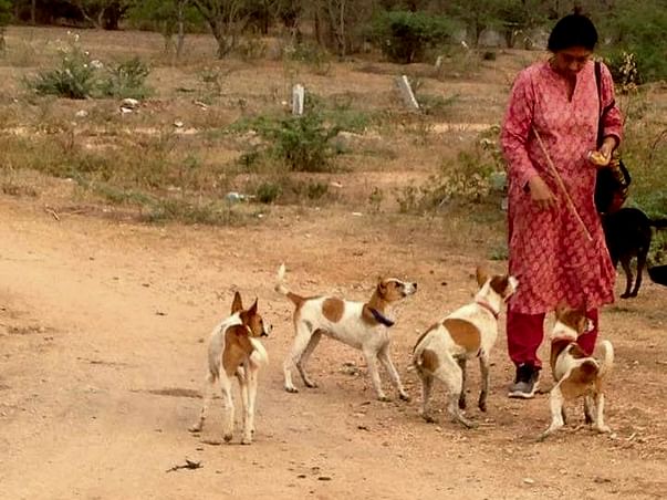 Help PAWS Andhra Pradesh set up a Speciality Animal Hospital