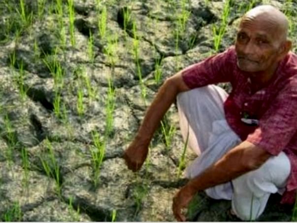 Help The Poor Farmers Who Are Losing Hope To Live