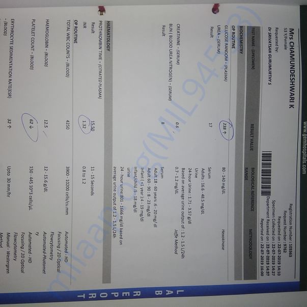 Medical Report