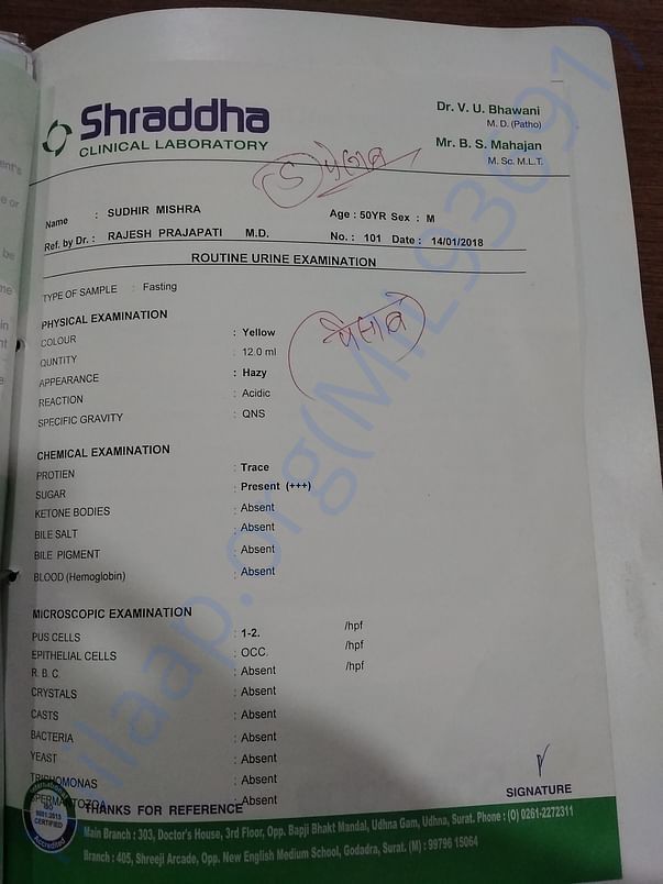 Routine Urine Examination