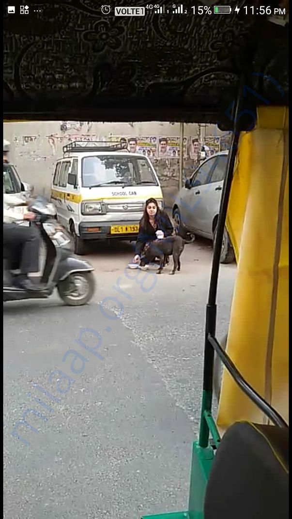 Feeding hungry strays. Please help in getting food for them