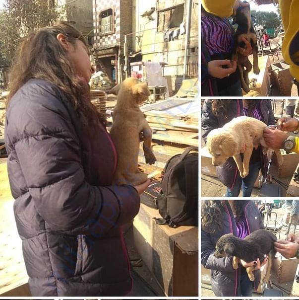Vaccination campaign done by Chanu in her society