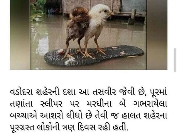 Hand for Vadodara Flood Innocent Victims