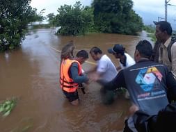Shelter for Disabled Animals Destroyed in Floods! Help them!