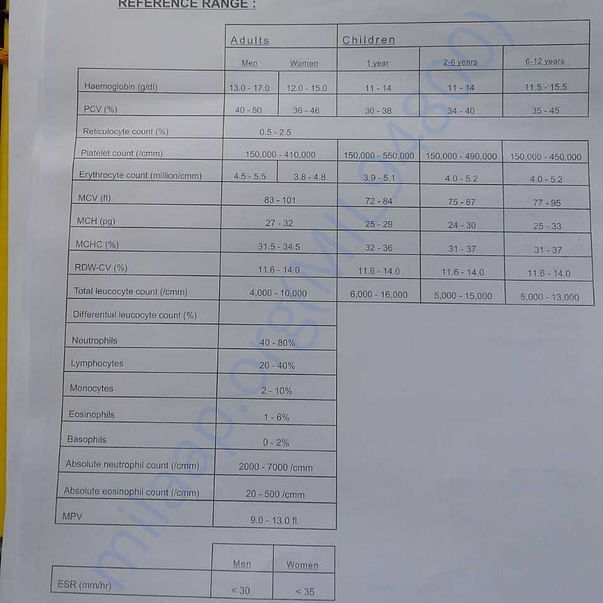 Medical Report