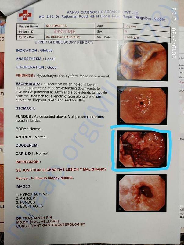 Scan report