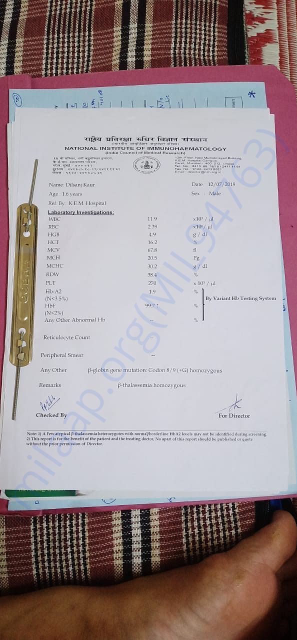 This is Thalassemia major test report of Dilsanjh kaur