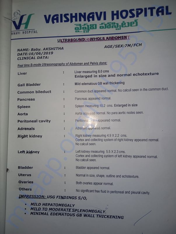 spleen, liver test report