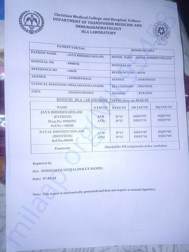 HLA Report