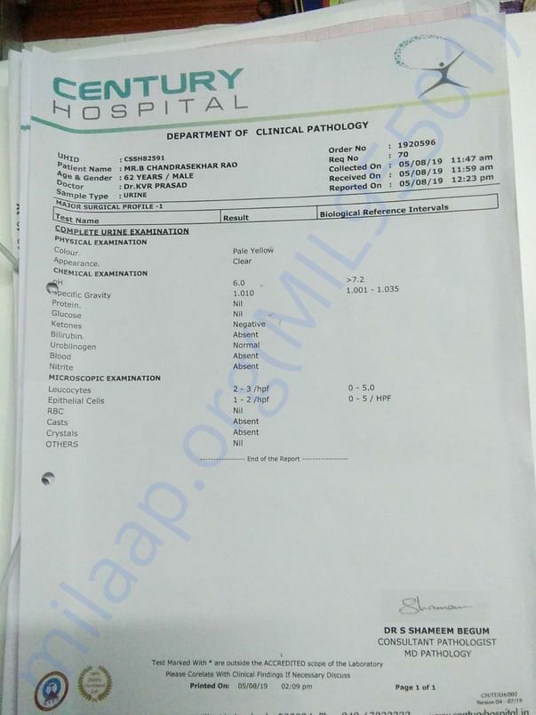Urine report