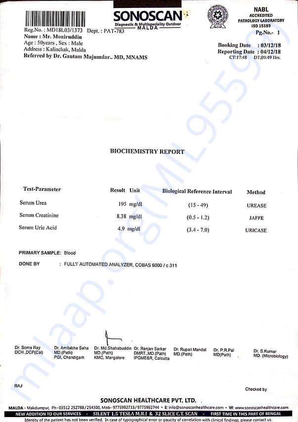 Kidney report