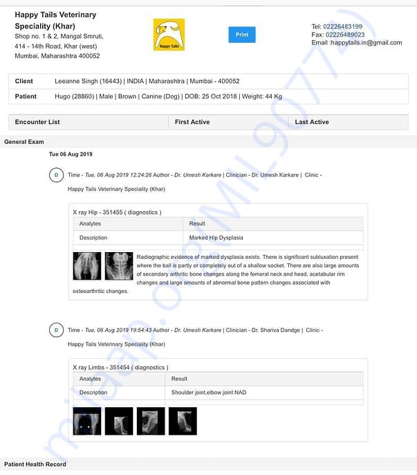 XRAY Report