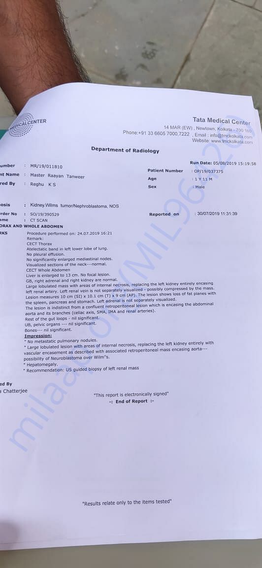 Report of Rayaan