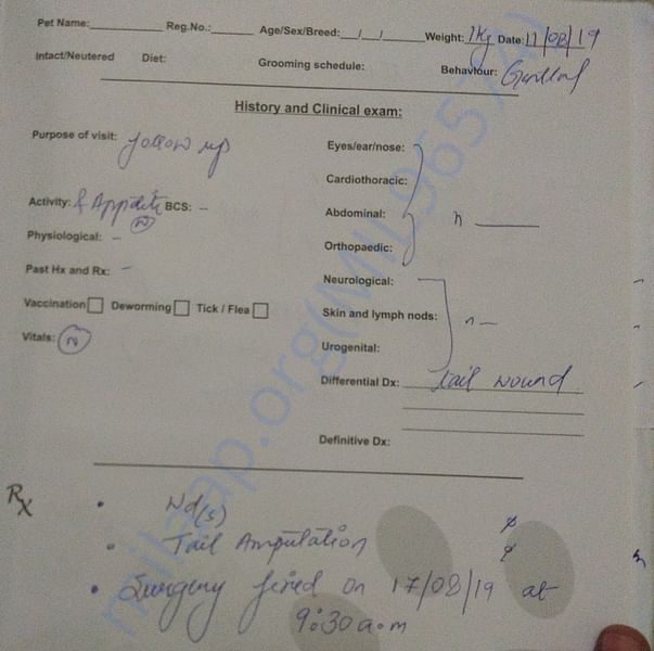 Medical Report