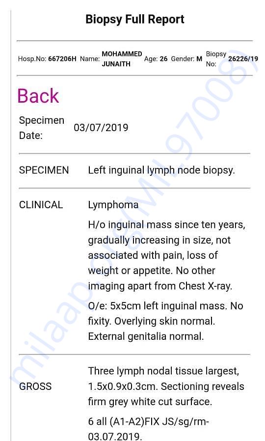 Lab report