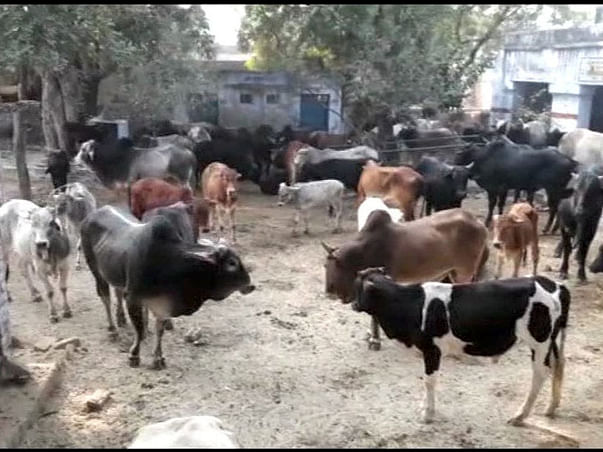 SANSKAR AWAAZ AYOJANA CHARITABLE TRUST